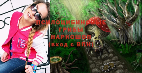прущая мука Рославль